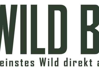 Wild Boys Logo
