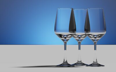 Blender Rendering Schott Taste